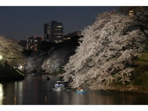 o0320024012900571022