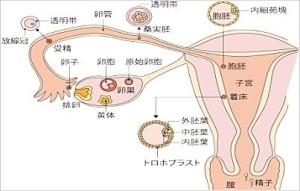 o0403025613069894470