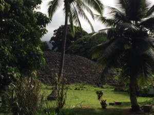 o0480036012974042792