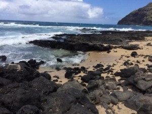 o0480036012974042916