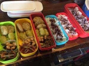 o0480036013005895936