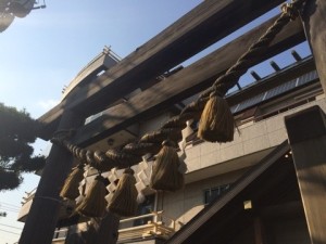 o0480036013076136968