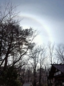 o0480064012363831320