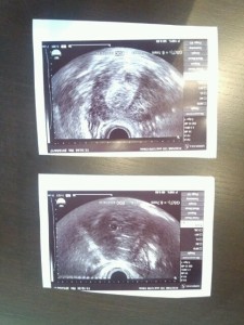 o0480064012503840272