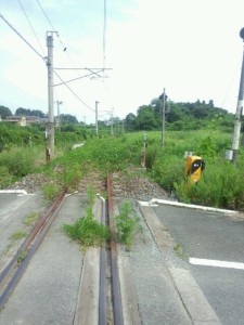 o0480064012646574073