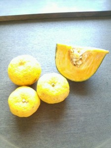 o0480064012788419901