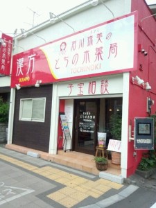 o0480064012799235221