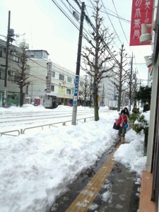 o0480064012847045713