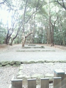 o0480064012862834658