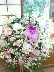 o0480064012869844030