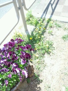 o0480064012905196482