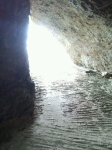 o0480064012927804657