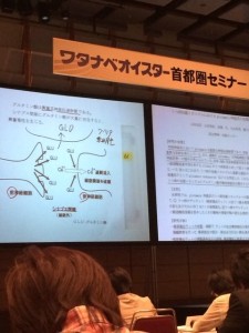 o0480064012980846619