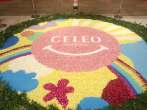 o0640048012257706503