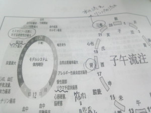 o0640048012533765351