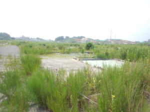 o0640048012646574111