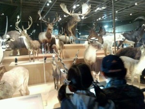 o0640048012767270552