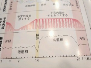 o0640048012872970205