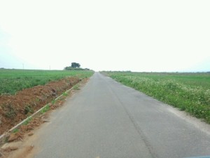 o0640048012929939719