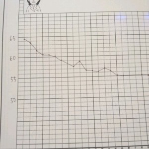 o0640064012760511891